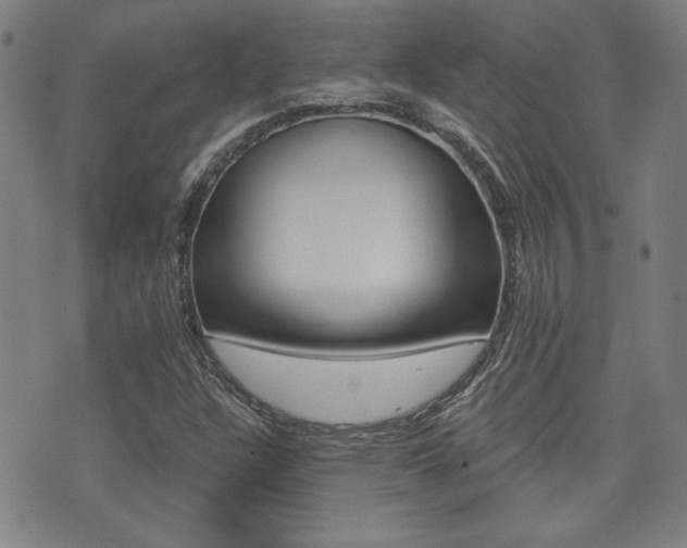 X0000072981304200607210955