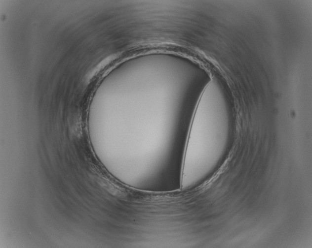 X0000072981306200607210955