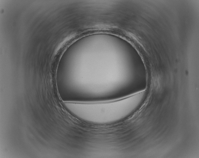 X0000072981307200607210955