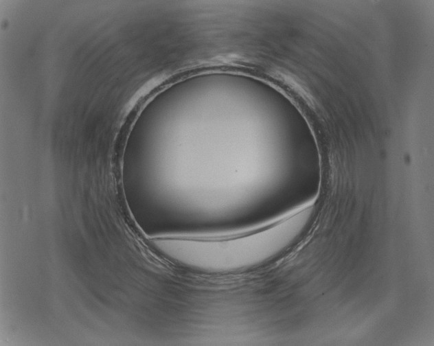 X0000072981308200607210956