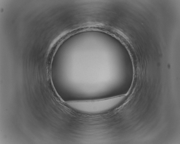 X0000072981310200607210956