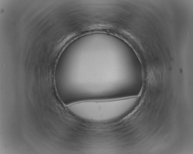 X0000072981313200607210956