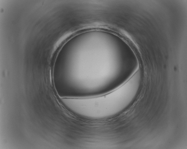 X0000072981320200607210956