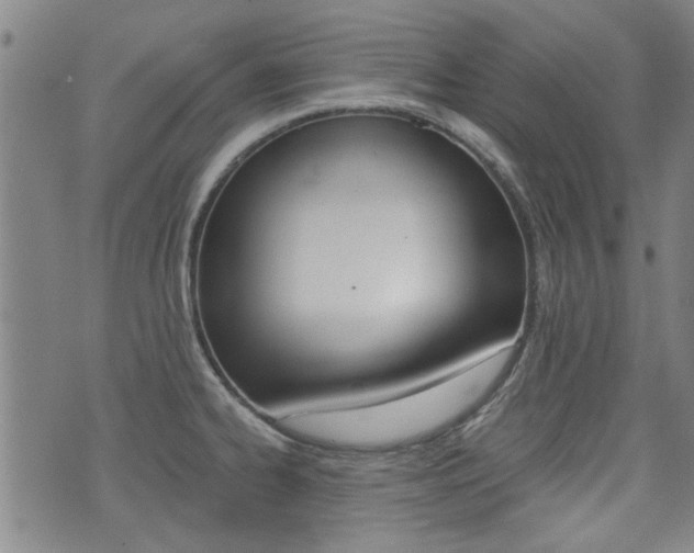 X0000072981334200607210956
