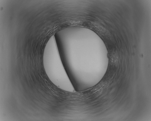 X0000072981346200607210955