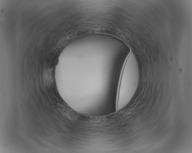 X0000072981347200607210955