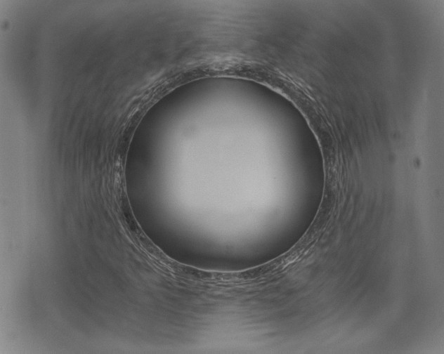 X0000072981349200607210955
