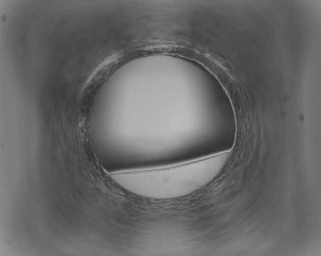 X0000072981351200607210955