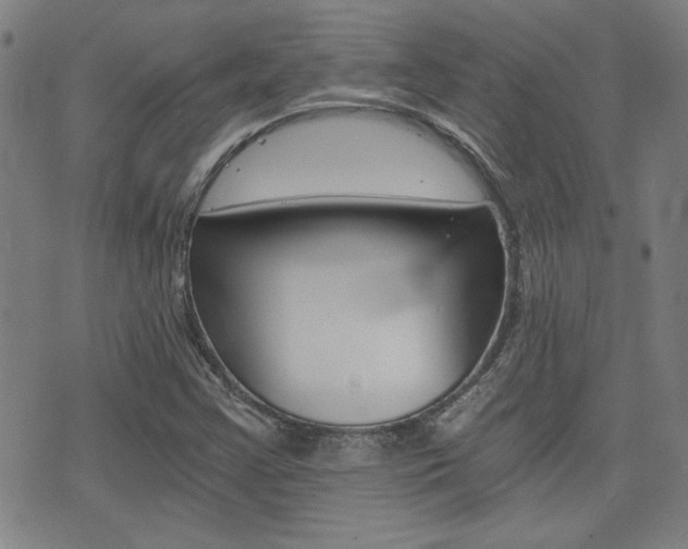 X0000072981355200607210955