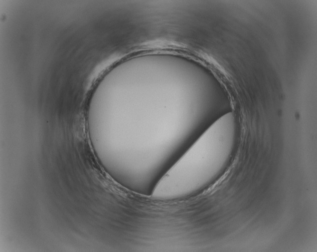 X0000072981358200607210955
