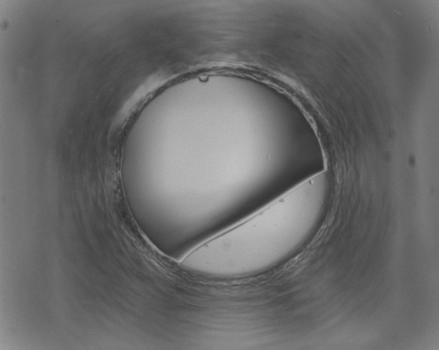 X0000072981359200607210955