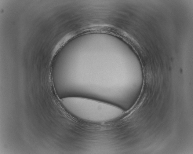 X0000072981362200607210955