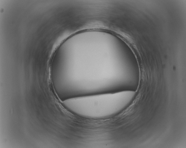 X0000072981366200607210955