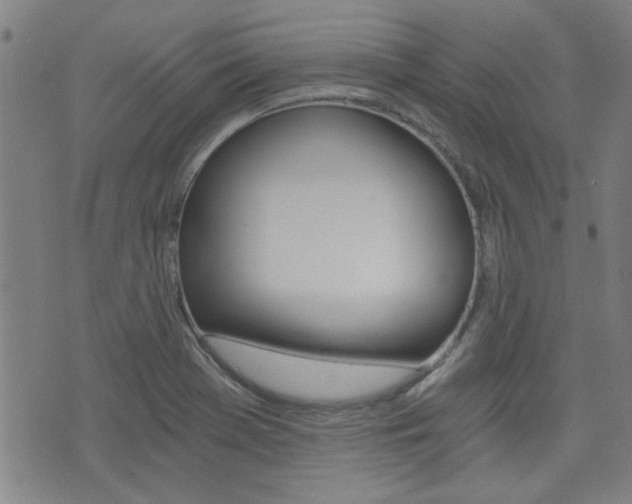 X0000072981369200607210955