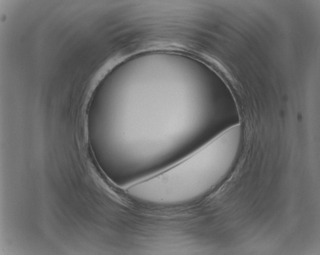 X0000072981371200607210955