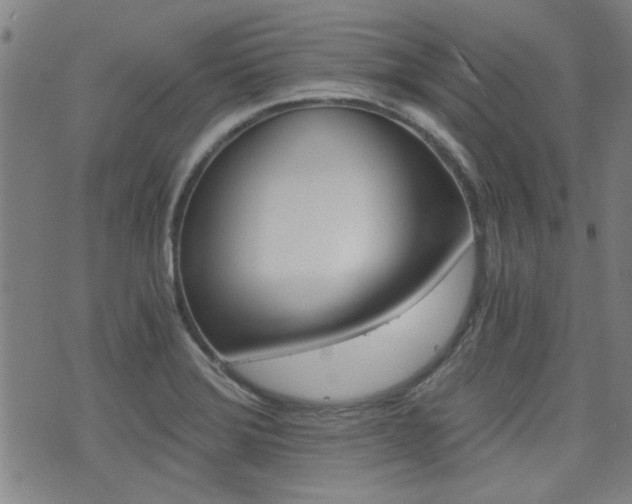 X0000072981372200607210955