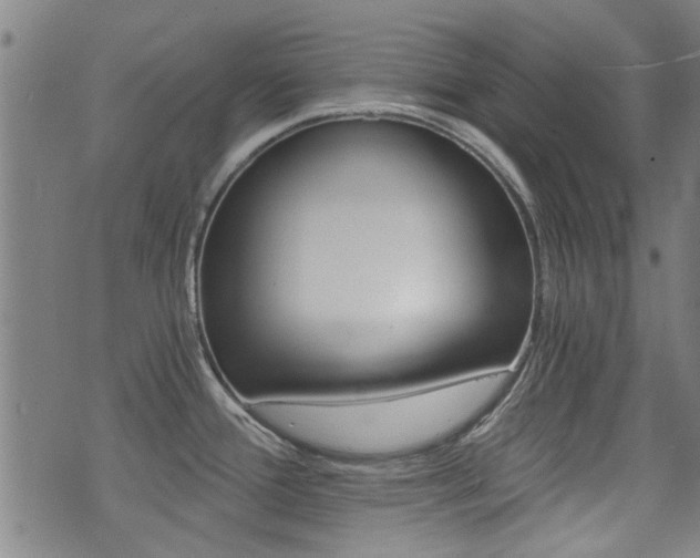 X0000072981388200607210955