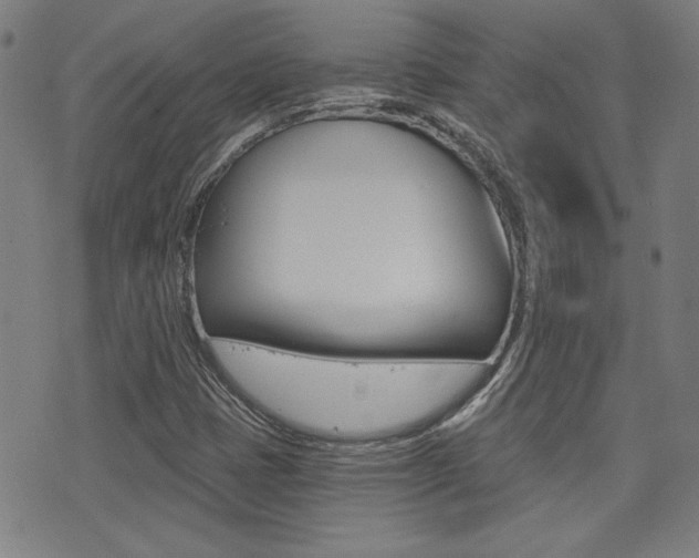X0000072981401200607210954