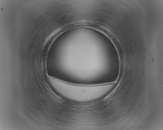 X0000072981402200607210954