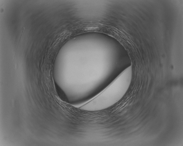 X0000072981441200607210954