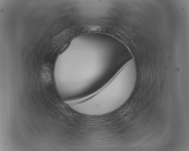 X0000072981442200607210954