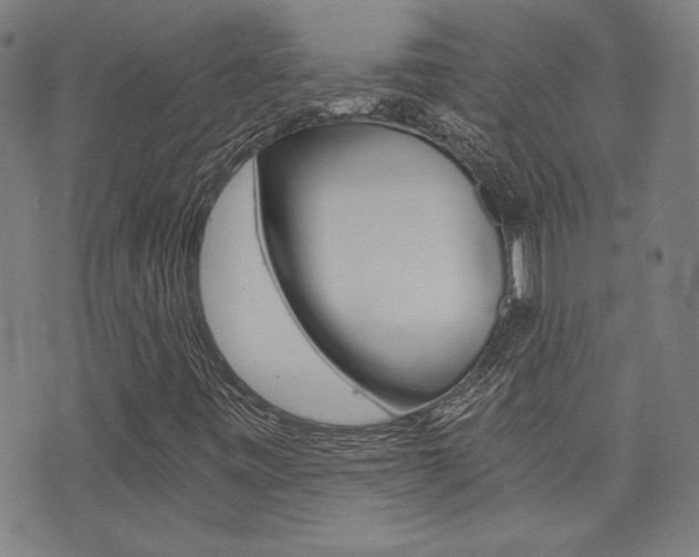 X0000072981443200607210954
