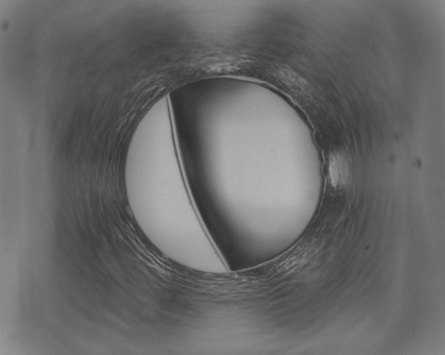 X0000072981444200607210954