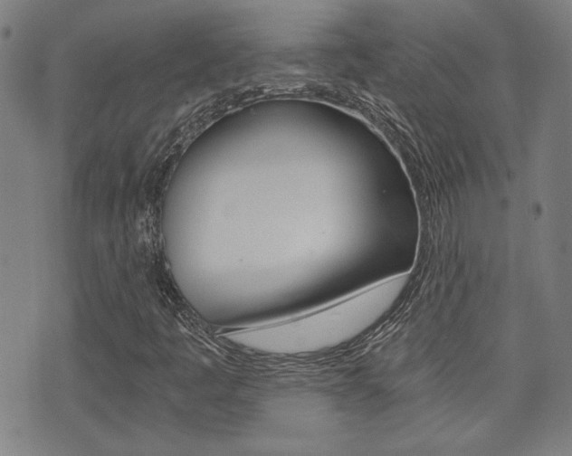 X0000072981445200607210954