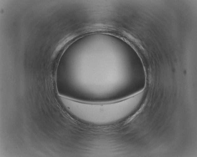 X0000072981453200607210954