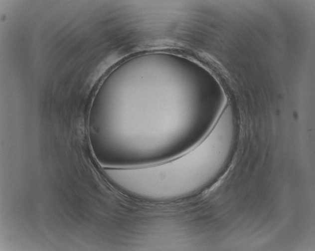 X0000072981457200607210954