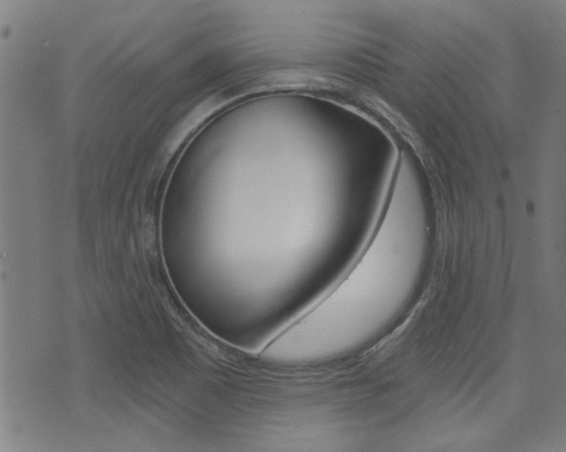 X0000072981465200607210953