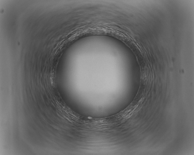 X0000072981490200607210952