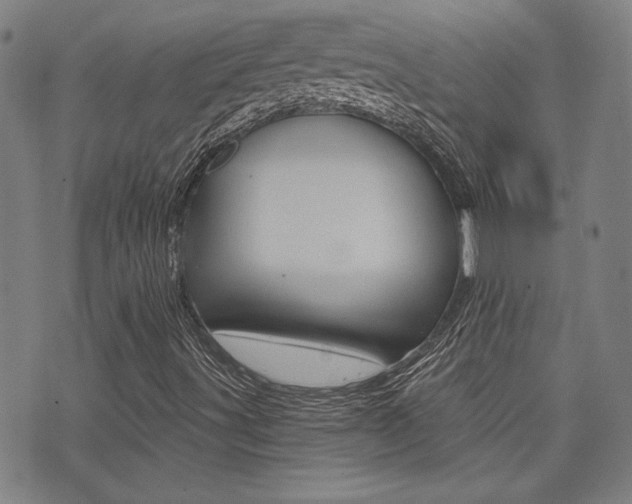 X0000072981491200607210952