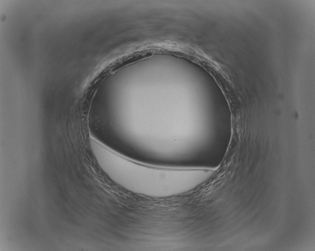X0000072981496200607210952
