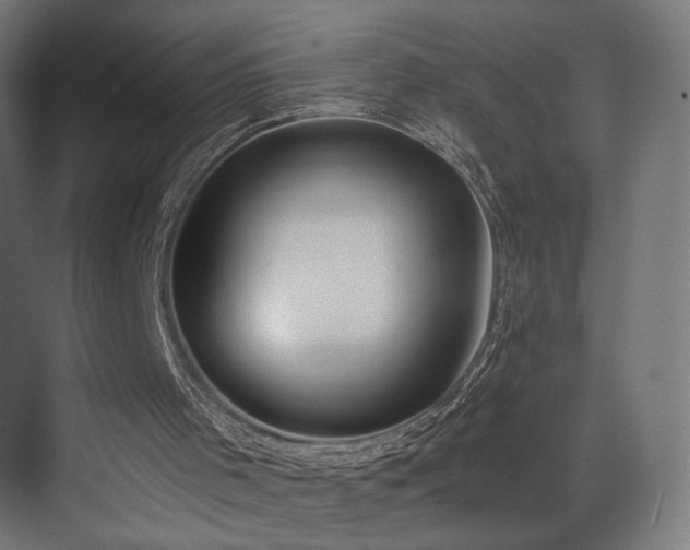 X0000072980001200607211301