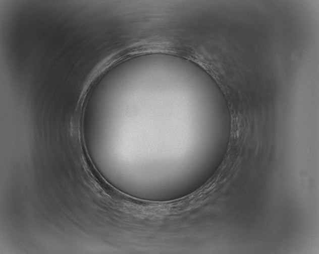X0000072980004200607211301