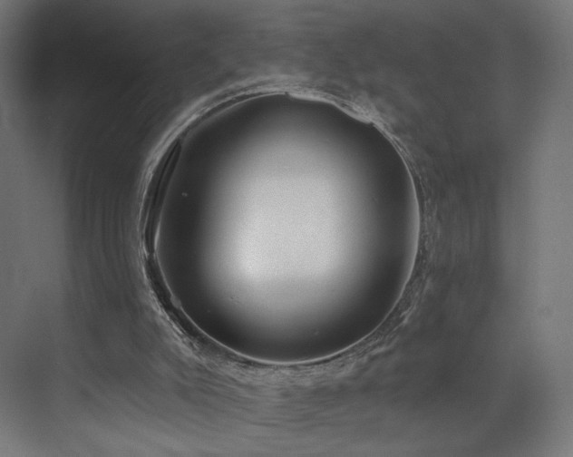 X0000072980007200607211301