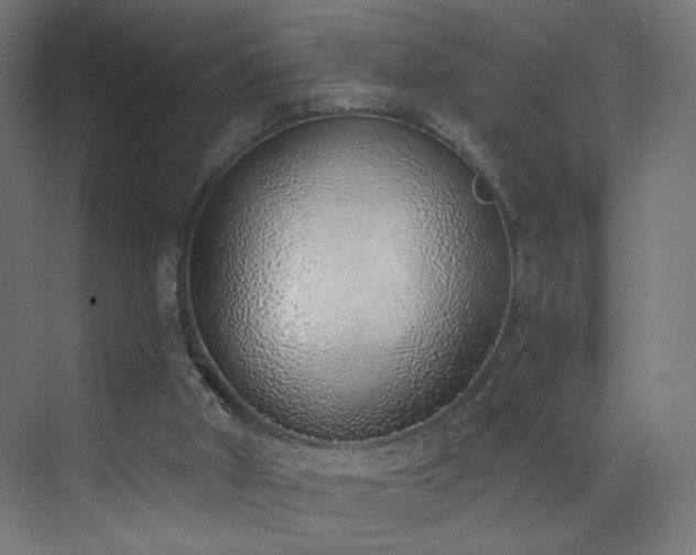 X0000072980010200607211301