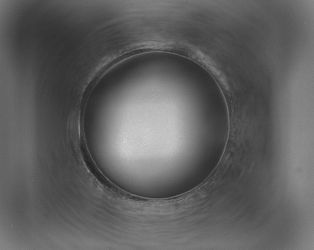 X0000072980011200607211301