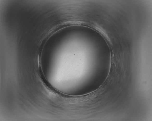 X0000072980013200607211301