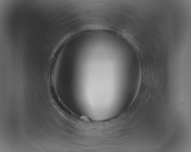 X0000072980015200607211301