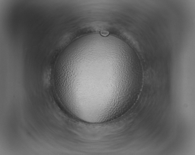 X0000072980018200607211301