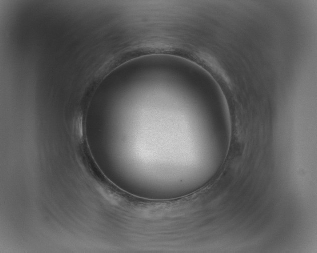 X0000072980021200607211301