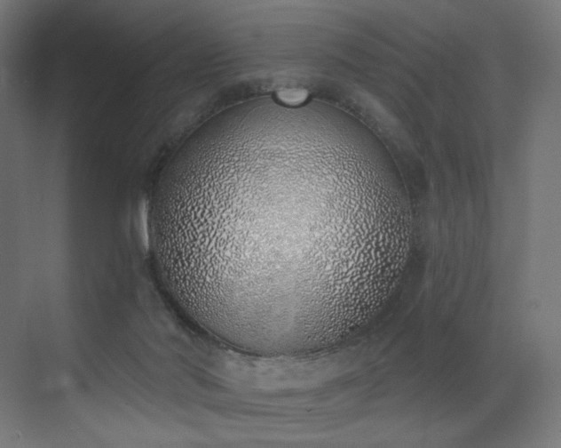 X0000072980022200607211301