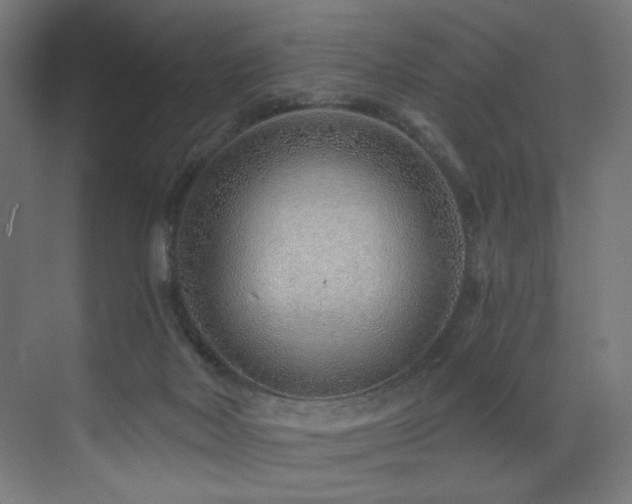 X0000072980026200607211301