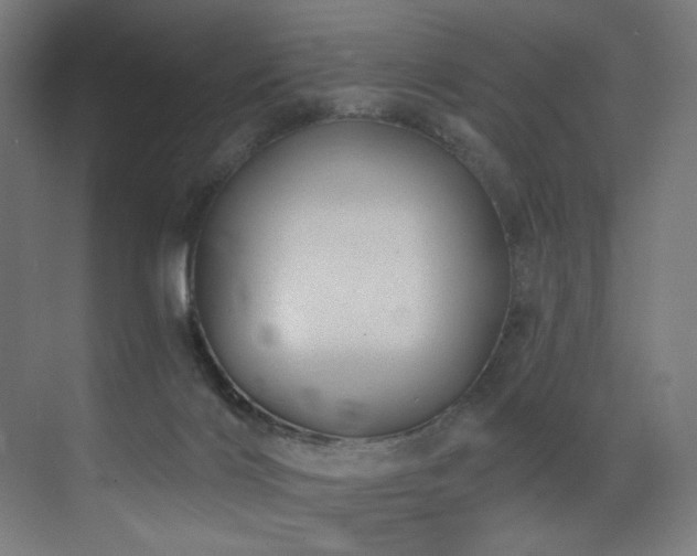 X0000072980028200607211301