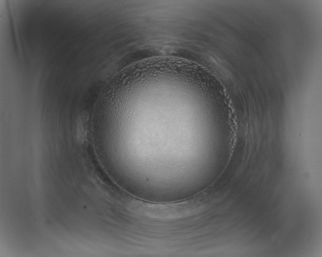 X0000072980030200607211301