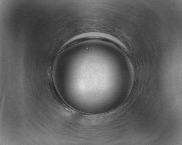 X0000072980033200607211301