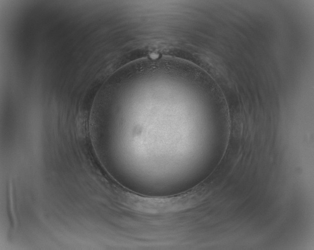 X0000072980034200607211301
