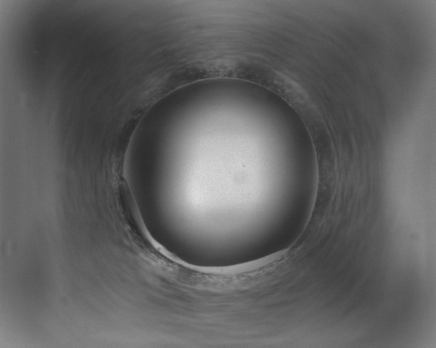X0000072980037200607211301